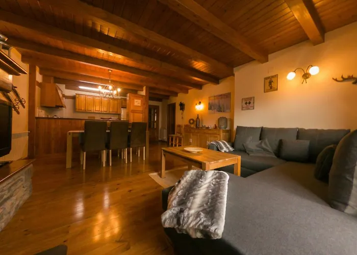 Aneto Apartament *